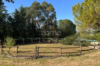 Quinta T5 para Venda em São Vicente do Paul e Vale de Figueira
