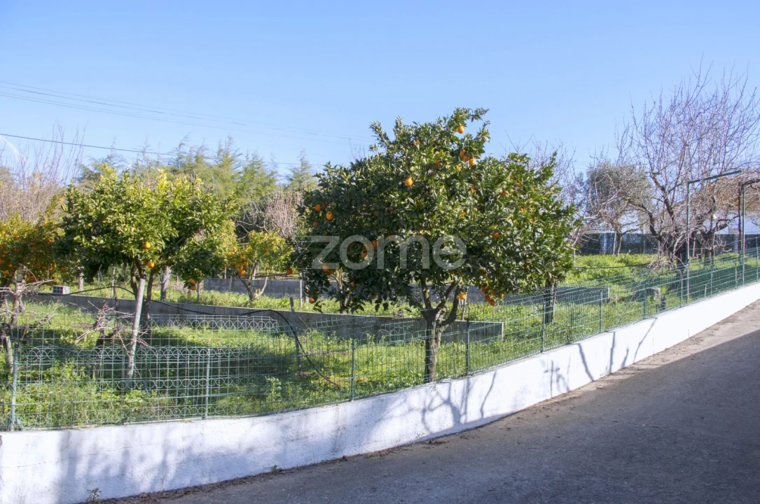 Quinta T5 para Venda em Marvila, Ribeira Santarém, São Salvador, São Nicolau Foto 16