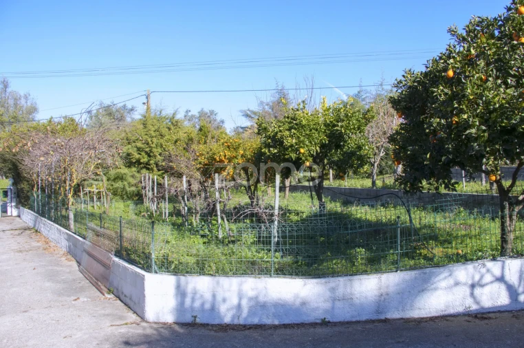 Quinta T5 para Venda em Marvila, Ribeira Santarém, São Salvador, São Nicolau Foto 18