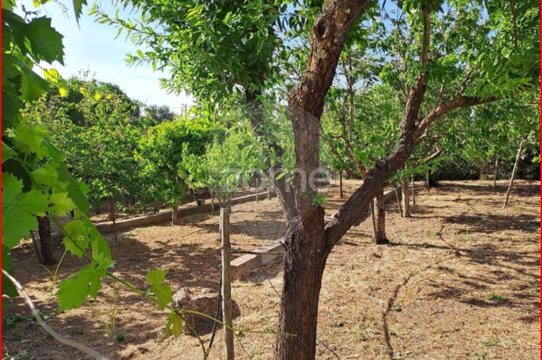 Quinta T5 para Venda em Marvila, Ribeira Santarém, São Salvador, São Nicolau Foto 52