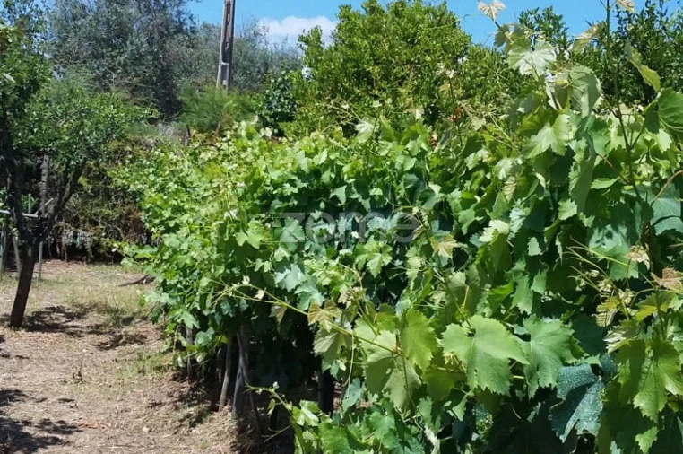Quinta T5 para Venda em Marvila, Ribeira Santarém, São Salvador, São Nicolau Foto 65