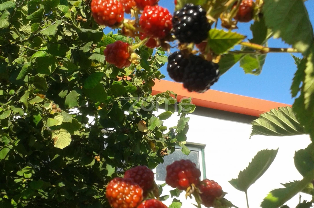 Quinta T5 para Venda em Marvila, Ribeira Santarém, São Salvador, São Nicolau Foto 51