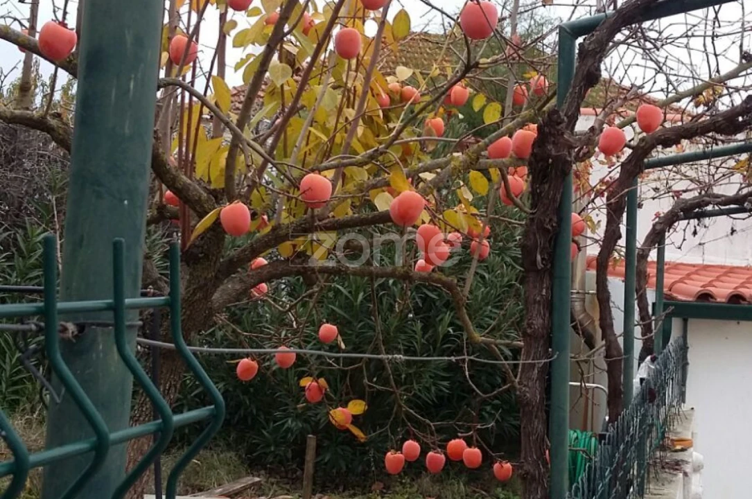 Quinta T5 para Venda em Marvila, Ribeira Santarém, São Salvador, São Nicolau Foto 53
