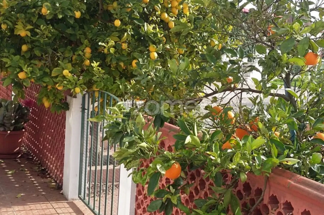 Quinta T5 para Venda em Marvila, Ribeira Santarém, São Salvador, São Nicolau Foto 58