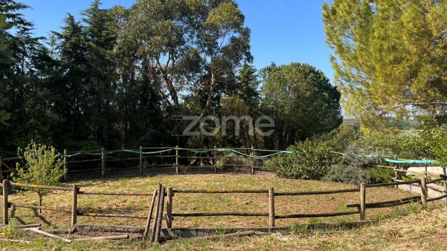 Quinta T5 para Venda em São Vicente do Paul e Vale de Figueira