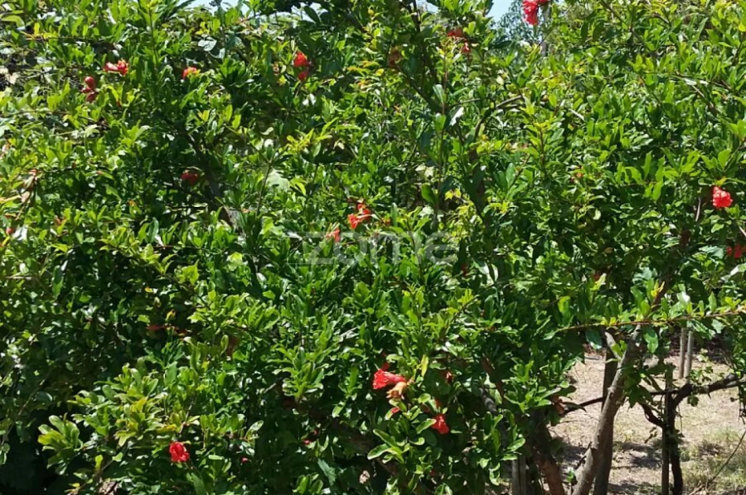 Quinta T5 para Venda em Marvila, Ribeira Santarém, São Salvador, São Nicolau Foto 64