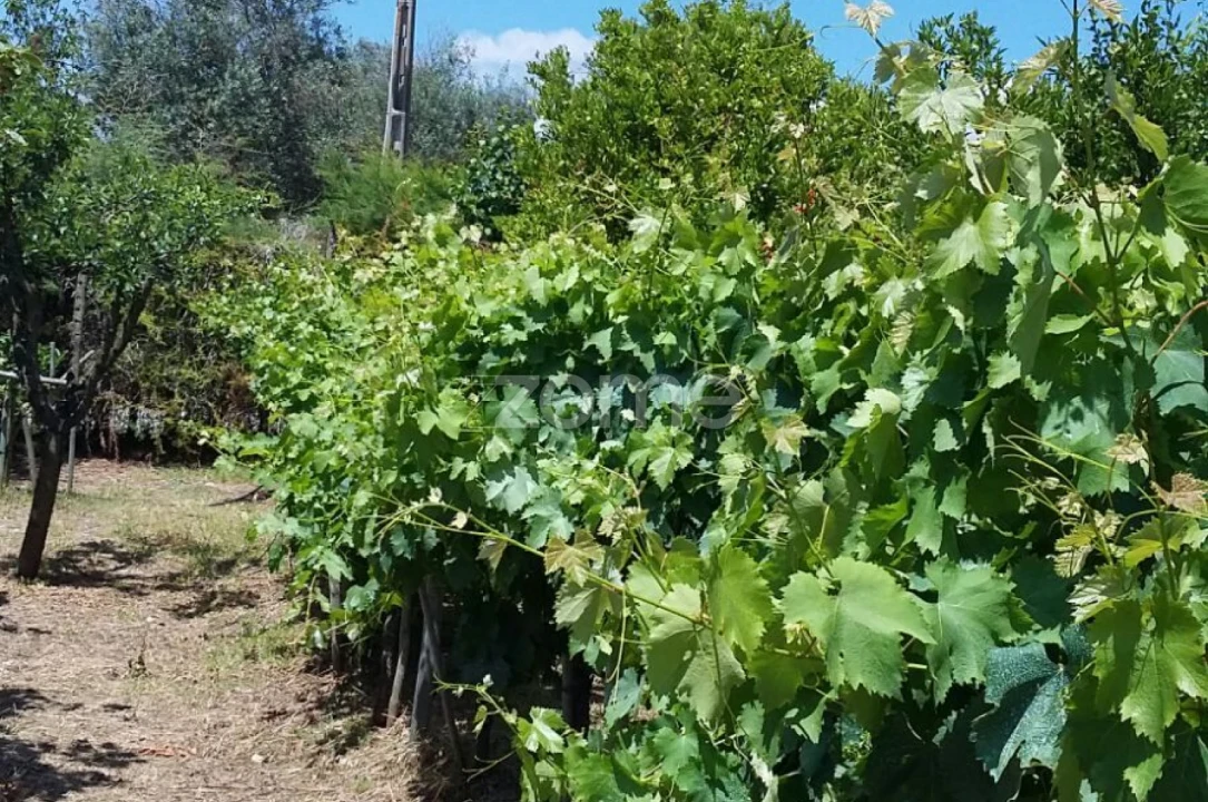 Quinta T5 para Venda em Marvila, Ribeira Santarém, São Salvador, São Nicolau Foto 65