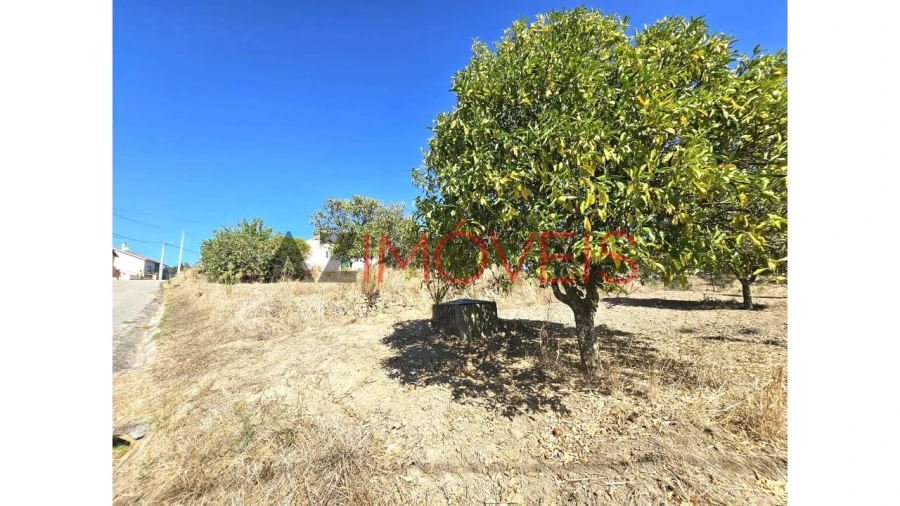 Moradia T2 para Venda em Martinchel Foto 39