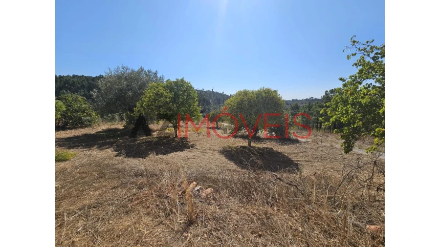 Moradia T2 para Venda em Martinchel Foto 40