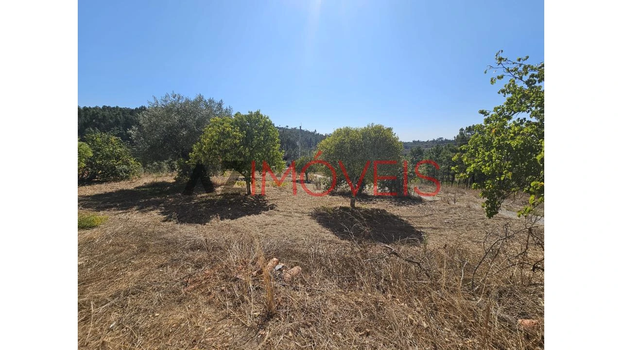 Moradia T2 para Venda em Martinchel Foto 40