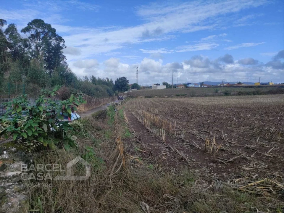 Terreno para Venda em Barqueiros Foto 4