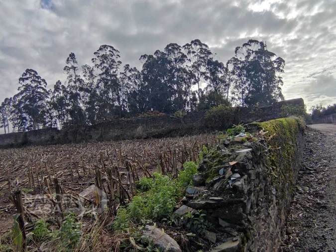 Terreno para Venda em Barqueiros Foto 7