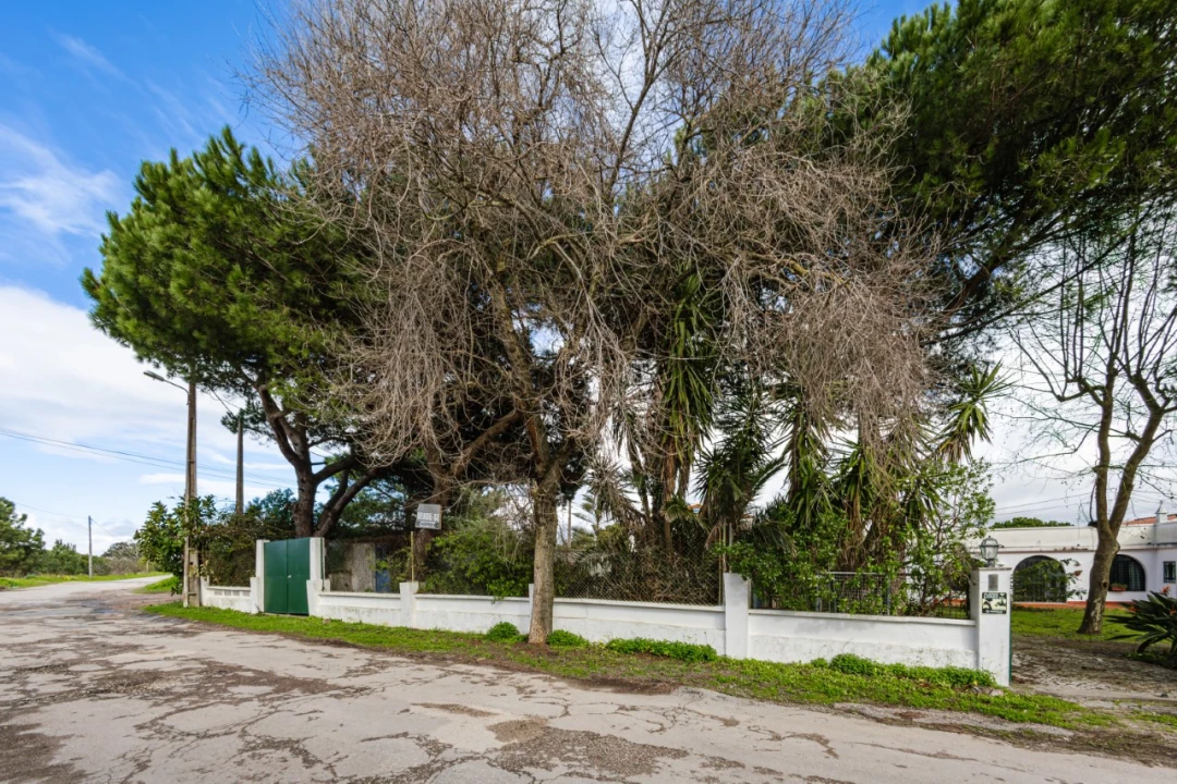 Terreno para Venda em Caparica e Trafaria Foto 3