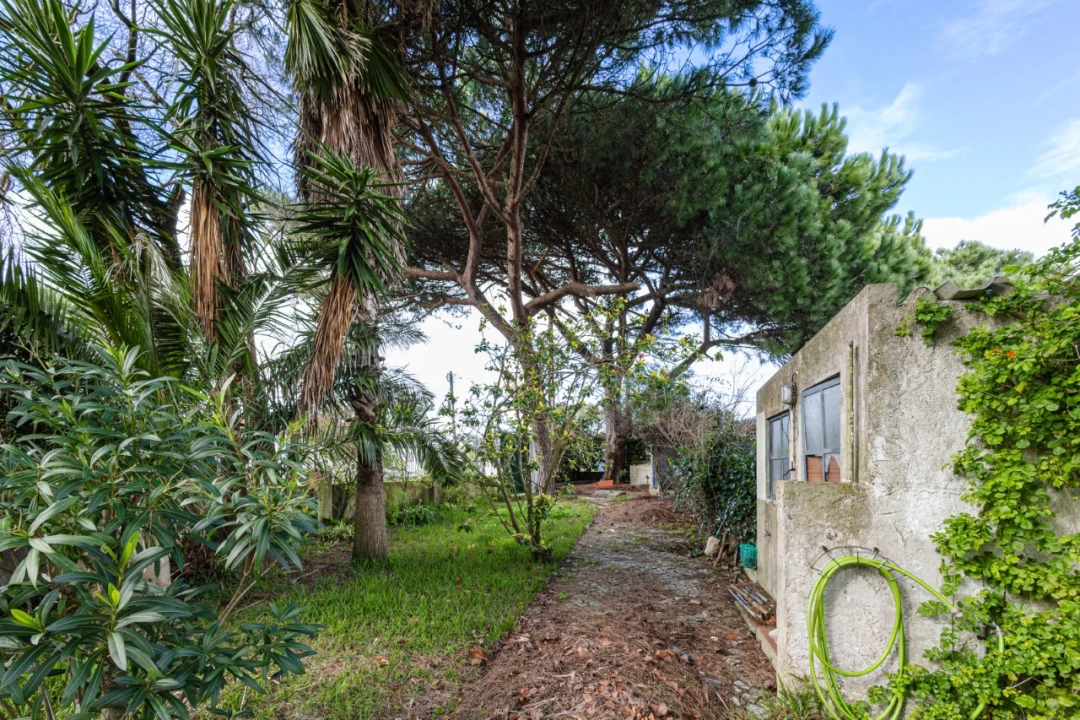 Terreno para Venda em Caparica e Trafaria Foto 5