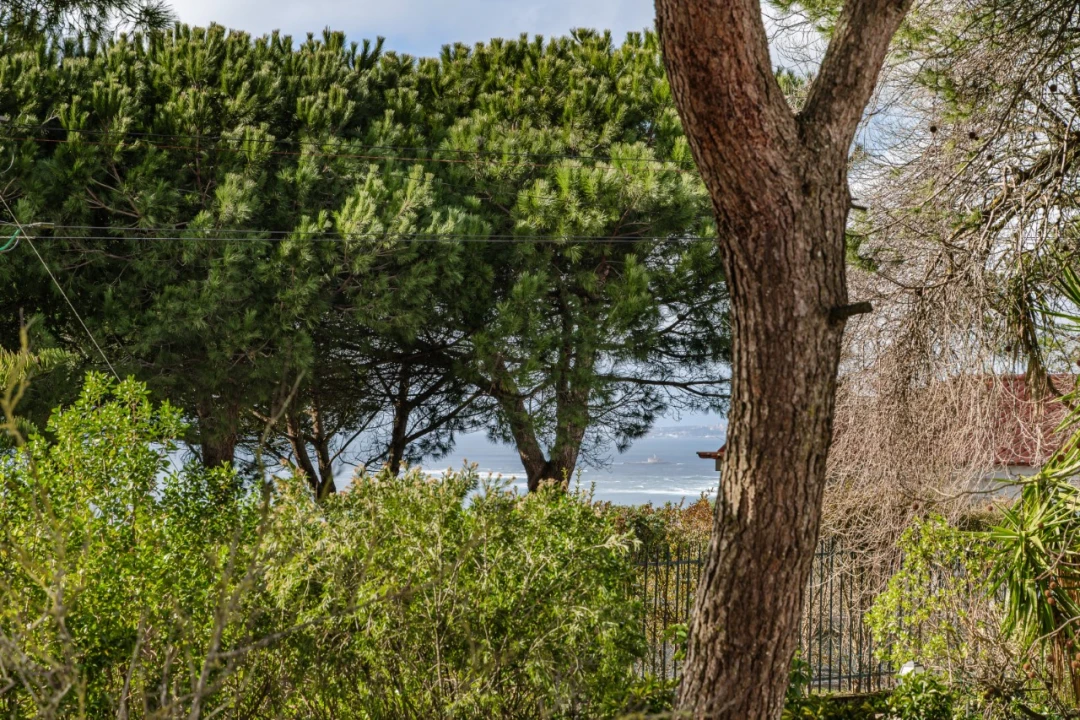 Terreno para Venda em Caparica e Trafaria Foto 11