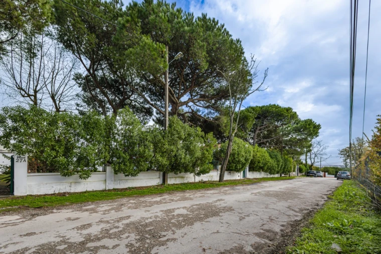 Terreno para Venda em Caparica e Trafaria Foto 10
