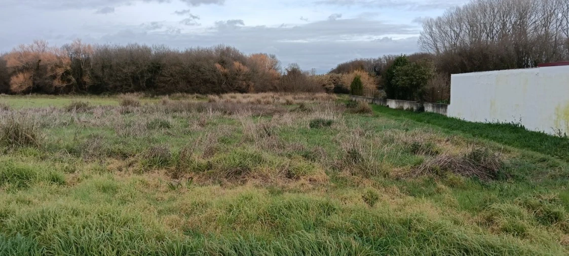 Terreno para Venda em Ílhavo (São Salvador) Foto 5