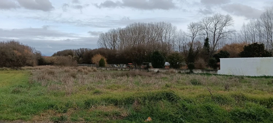 Terreno para Venda em Ílhavo (São Salvador)