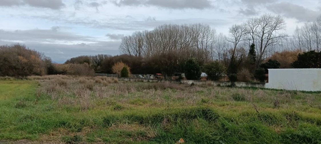 Terreno para Venda em Ílhavo (São Salvador) Foto 2