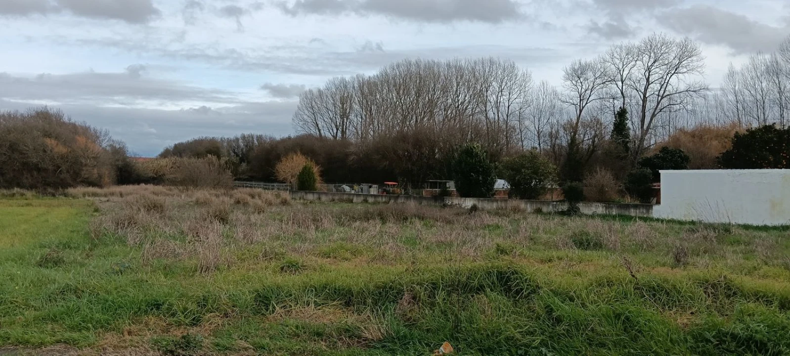 Terreno para Venda em Ílhavo (São Salvador) Foto 2