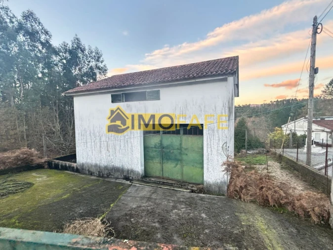 Loja para Venda em Vinhos Foto 15