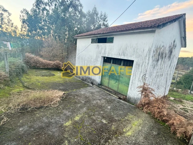 Loja para Venda em Vinhos Foto 24