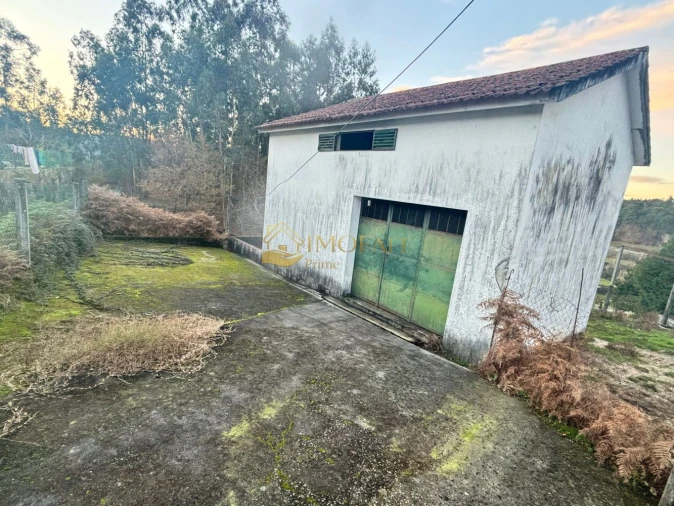 Loja para Venda em Vinhos Foto 13