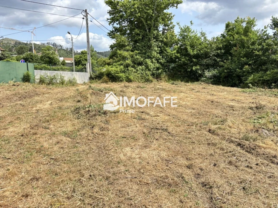Terreno para Venda em Antime e Silvares (São Clemente) Foto 15