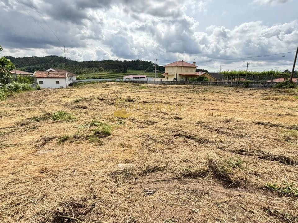 Terreno para Venda em Antime e Silvares (São Clemente) Foto 23