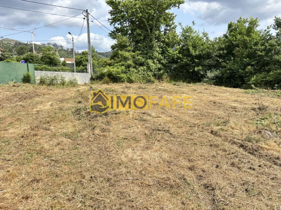 Terreno para Venda em Antime e Silvares (São Clemente) Foto 15