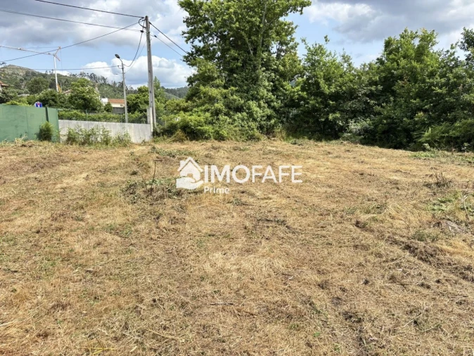 Terreno para Venda em Antime e Silvares (São Clemente) Foto 15