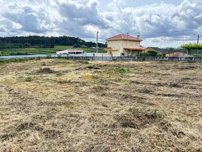 Terreno para Venda em Antime e Silvares (São Clemente) Foto 16