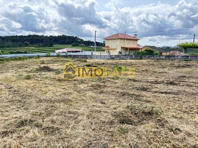 Terreno para Venda em Antime e Silvares (São Clemente) Foto 16