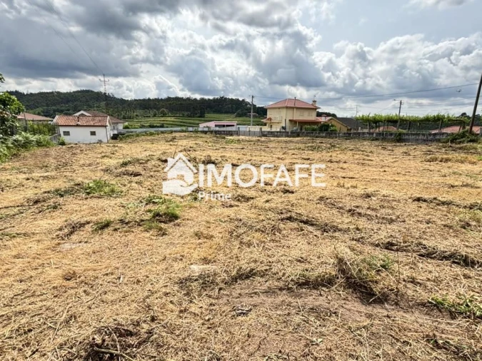 Terreno para Venda em Antime e Silvares (São Clemente) Foto 11