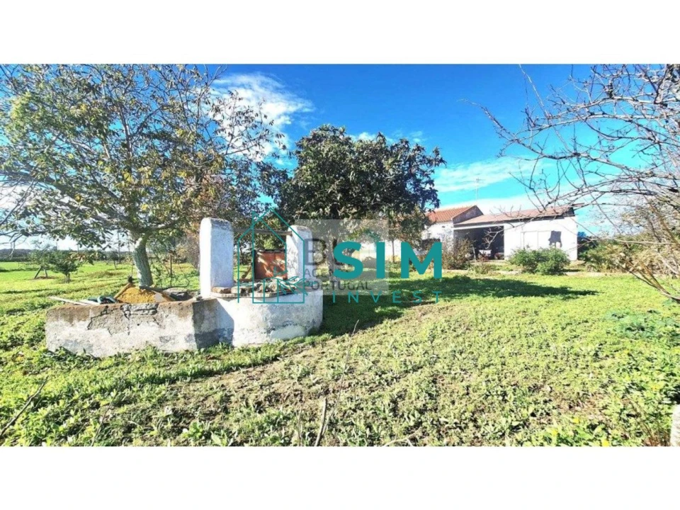 Quinta T3 para Venda em Bacelo e Senhora da Saúde Foto 6