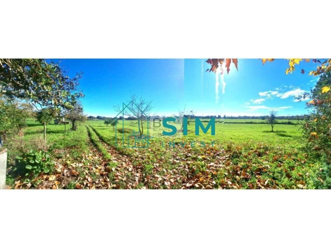 Quinta T3 para Venda em Bacelo e Senhora da Saúde Foto 8