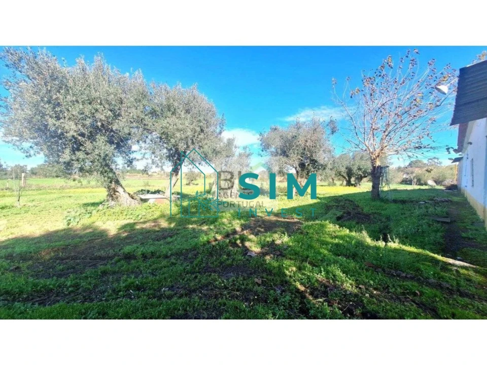 Quinta T3 para Venda em Bacelo e Senhora da Saúde Foto 11