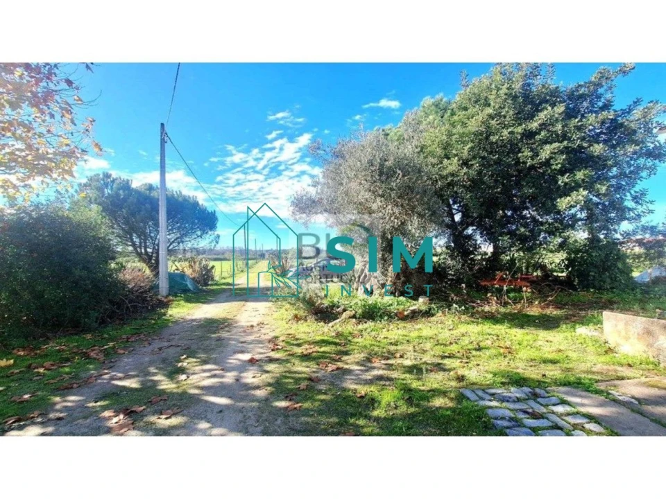 Quinta T3 para Venda em Bacelo e Senhora da Saúde Foto 7