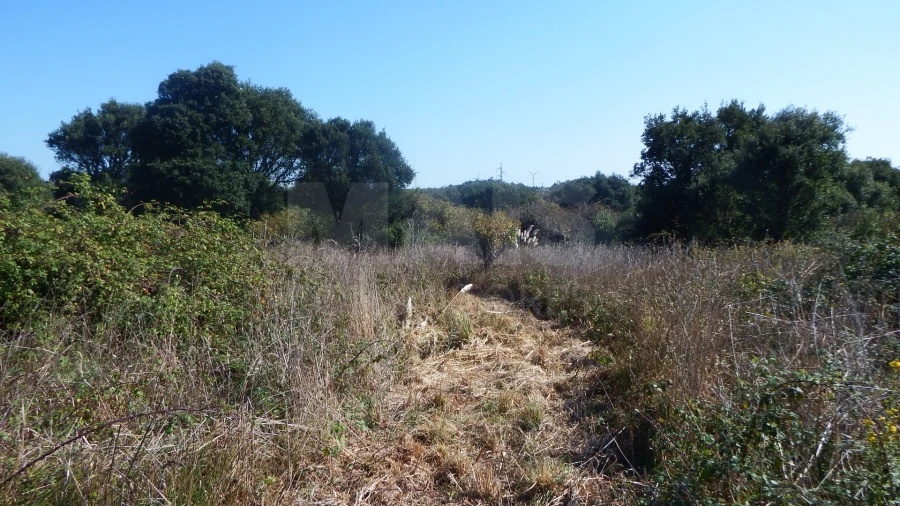 Quinta para Venda em Atouguia da Baleia Foto 11