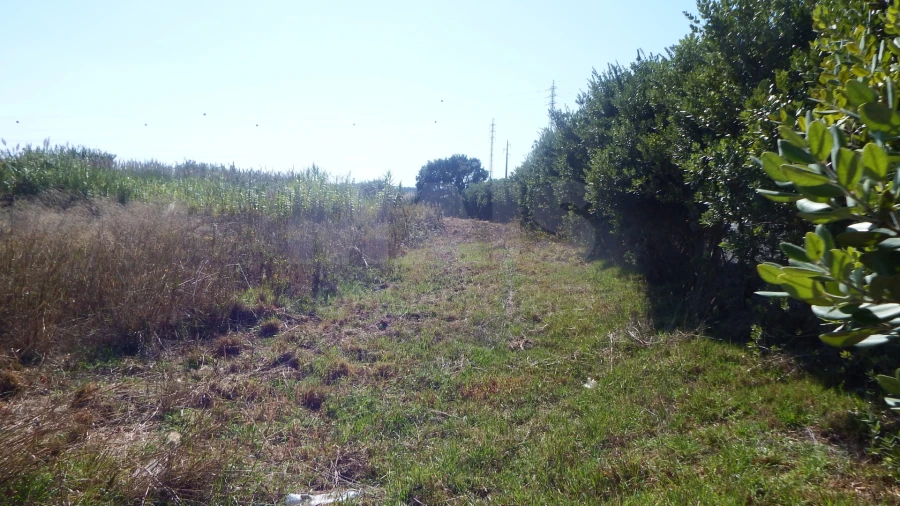 Quinta para Venda em Atouguia da Baleia Foto 7