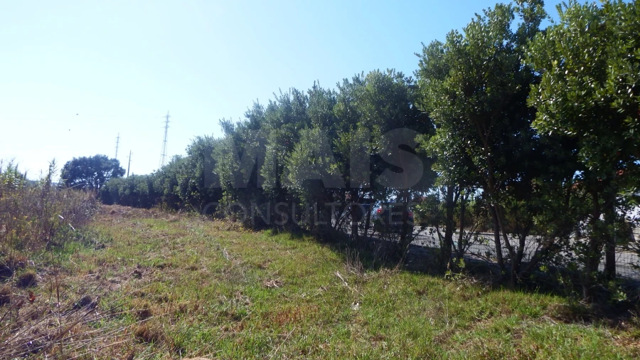 Quinta para Venda em Atouguia da Baleia Foto 6