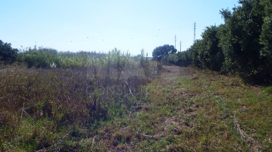 Quinta para Venda em Atouguia da Baleia Foto 3