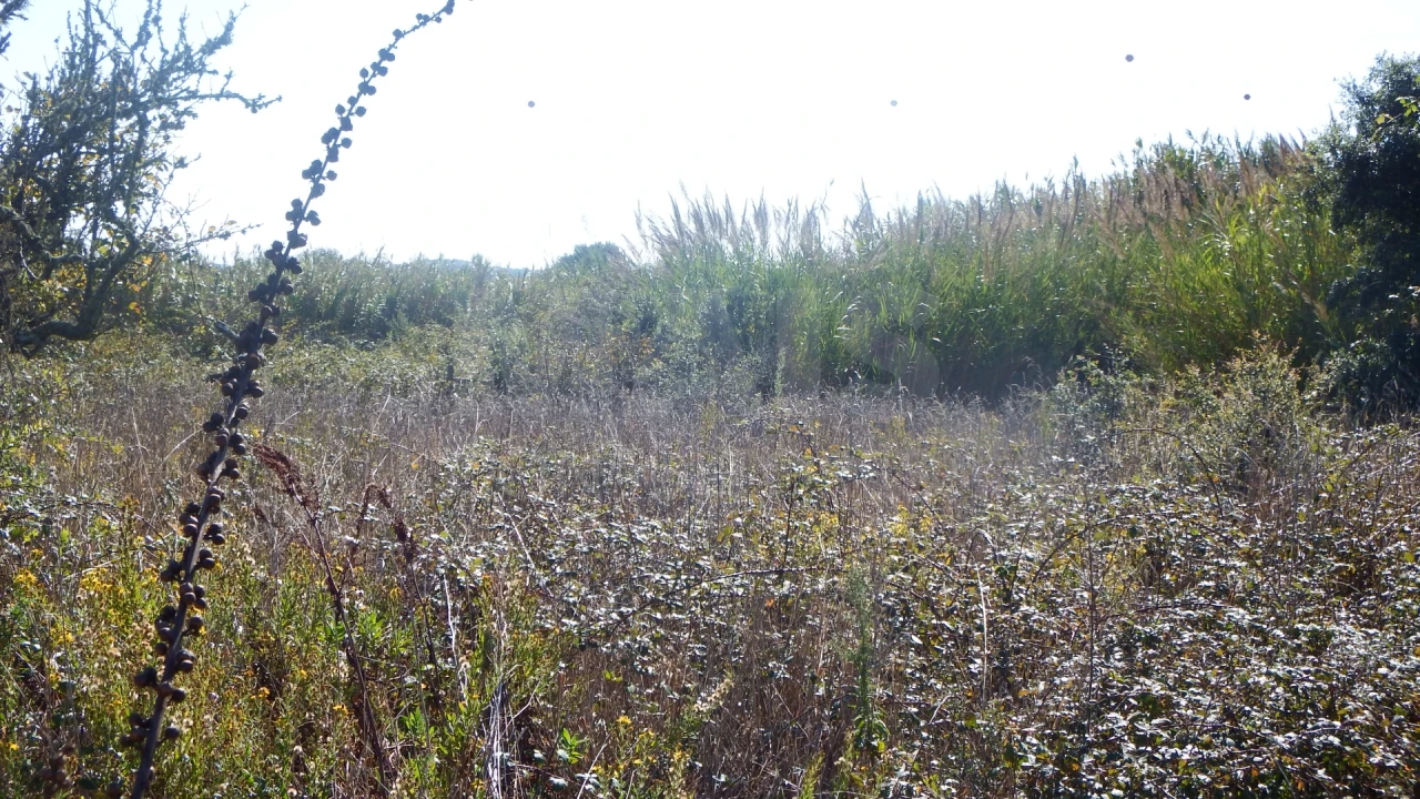 Quinta para Venda em Atouguia da Baleia Foto 9
