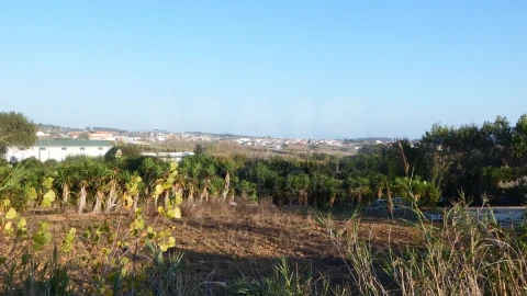Terreno para Venda em Lourinhã e Atalaia