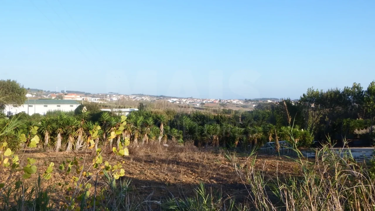 Terreno para Venda em Lourinhã e Atalaia Foto 10