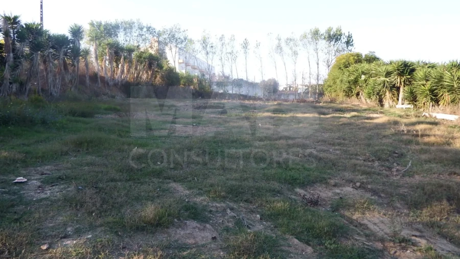 Terreno para Venda em Lourinhã e Atalaia Foto 12
