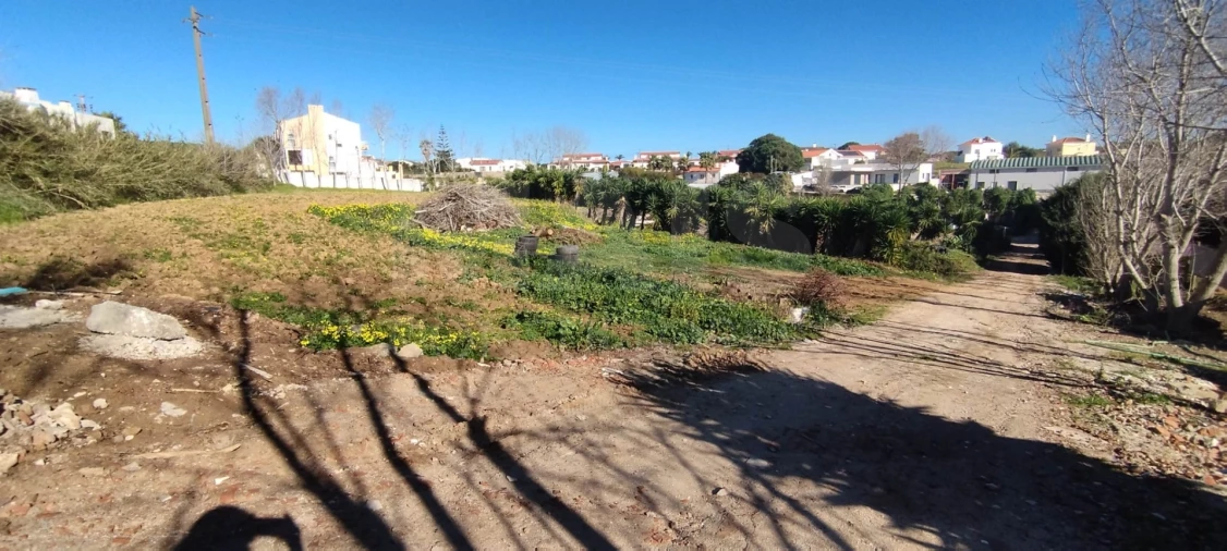 Terreno para Venda em Lourinhã e Atalaia Foto 1