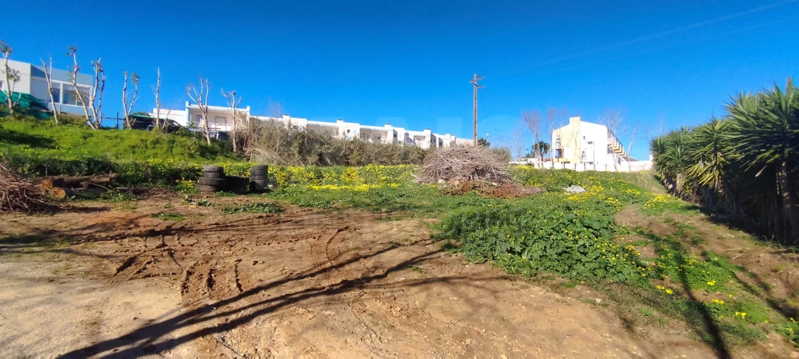 Terreno para Venda em Lourinhã e Atalaia Foto 4