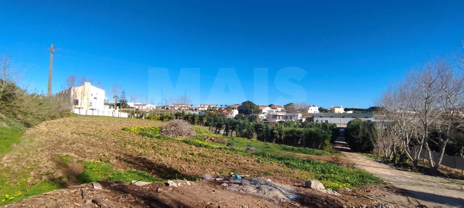 Terreno para Venda em Lourinhã e Atalaia Foto 6
