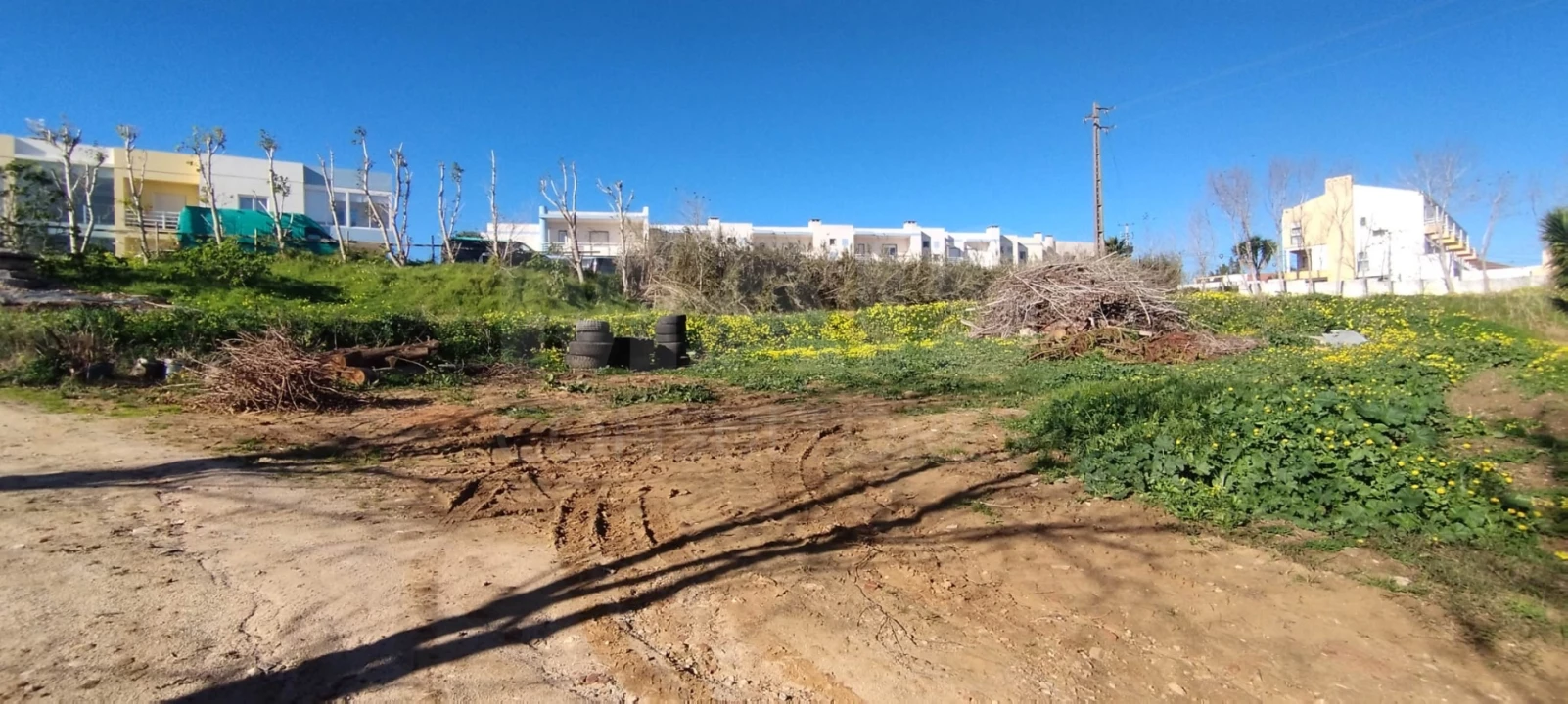 Terreno para Venda em Lourinhã e Atalaia Foto 3
